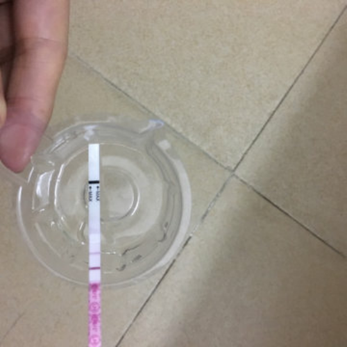 如何科学引导孩子语言发展：从发音到表达的全方位指南