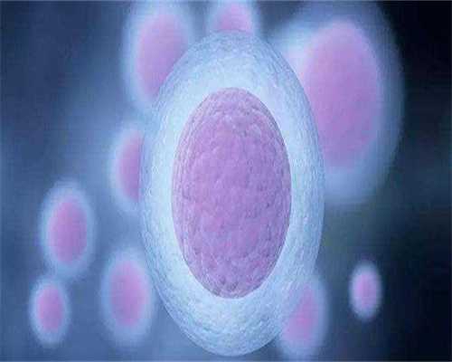 <b>国内三代试管选男孩_未婚试管女士能选择生育吗？供卵费用解析</b>