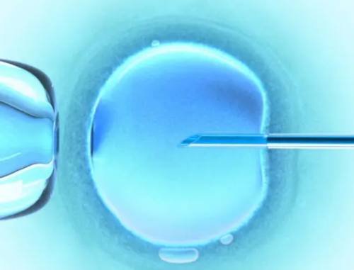 广州三代试管助孕机构：供卵移植条件与成功率提升指南