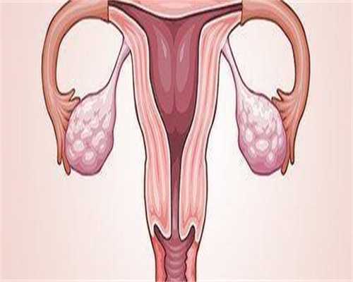 第三代试管婴儿技术解析：胚胎植入前遗传学诊断的先进应用