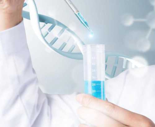 厦门无卵巢能否进行供卵试管助孕，详细解析与条件