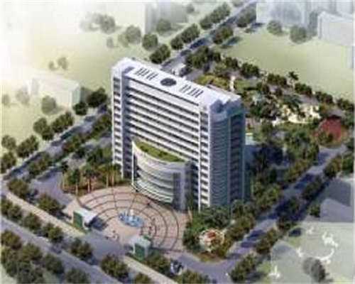 优质胚胎公式：精准促排与科学养囊提升试管成功率