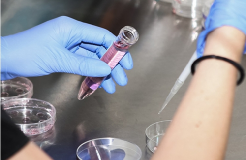 上饶育中心医院试管婴儿费用解析与助孕服务指南