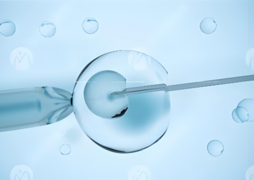 南京三代试管婴儿医院选择指南与助孕技术解析