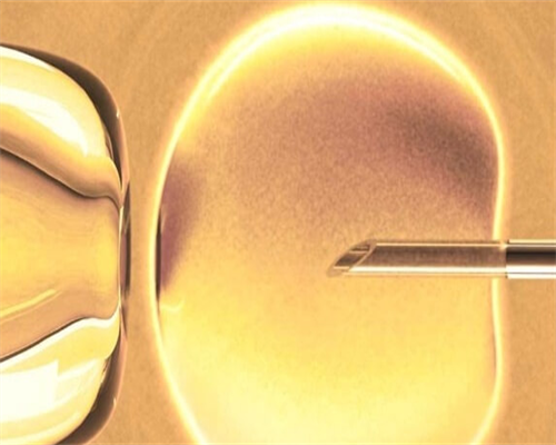 一代试管胚胎质量如何？试管一代是否进行胚胎筛选解析