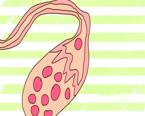胚胎解冻技术：个性化生育梦想的可靠支持