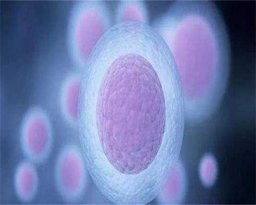 试管囊胚移植后第16天症状与感受解析