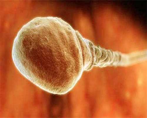 试管卵泡小能否取卵？影响因素与应对策略