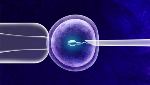 试管助孕成功成本解析与代生包成功指南
