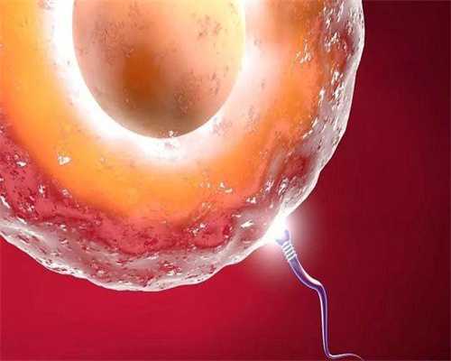 试管助孕取卵技术解析：微创手术与成功条件