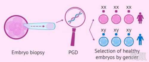 <b>试管婴儿技术哪一代更优？选择指南解析</b>