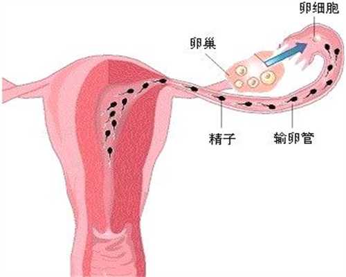 广州传承助孕中心地址,怀孕两个月血压140，该怎