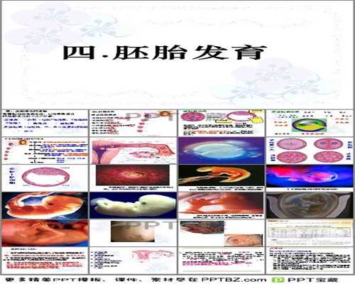 广州圆梦传承助孕中心  ,孕妇孕期补充营养，孕