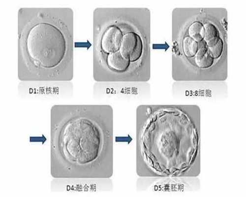 广州七星助孕公司,宝宝是否有湿疹如何判断怎么