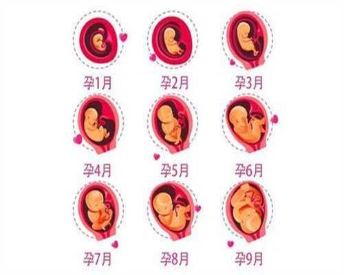 广州南方助孕生殖中心,孕期这4大禁忌要远离，可
