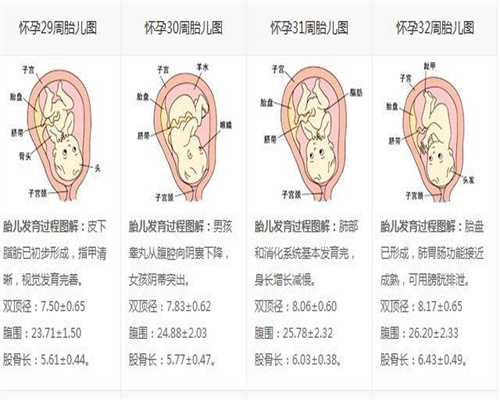 <b>广州七星助孕,孕期这些习惯影响胎儿发育，教你</b>