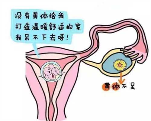 广州代孕多少钱,怀孕期间这3件事情很重要，关系