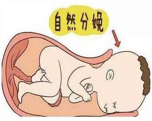 广州代孕医院,怀孕了想离职，但是公司不批准怎