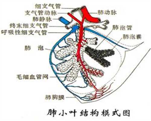 广州南方助孕生殖中心,女人自述同居9年怀孕三次