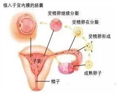广州助孕2019,章子怡官宣二胎，哪有看不出的孕肚