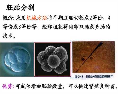 广州助孕包成功机构   ,想要避免怀孕初期流产，