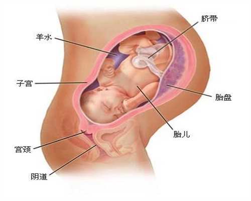广州借卵自怀,怀孕三个月了，要补充什么营养
