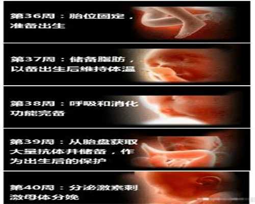 广州代孕生男孩-孕初期腹泻是宫外孕吗