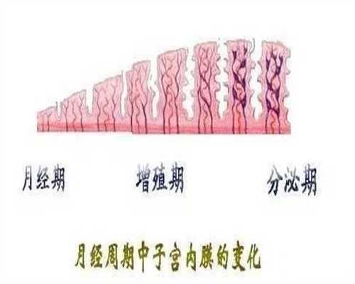 广州创博代孕微信-怀孕六个月股骨长多少