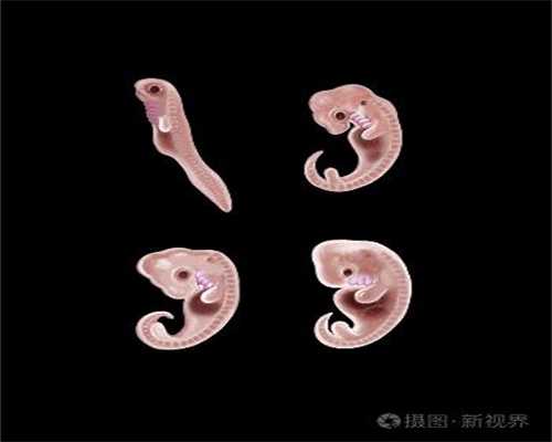 广州代孕妇妈妈-胚胎到底是什么意思