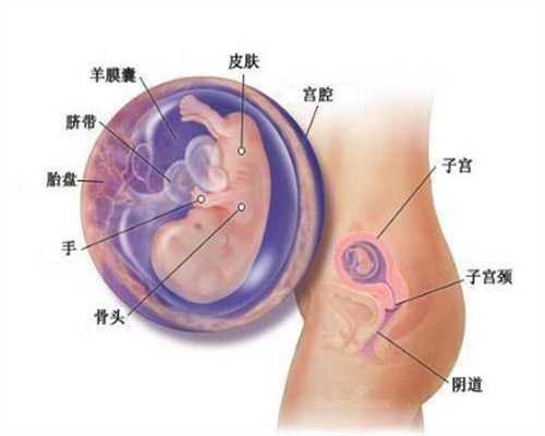 广州代生双胞胎怎么样-怀孕胸可以二次发育吗