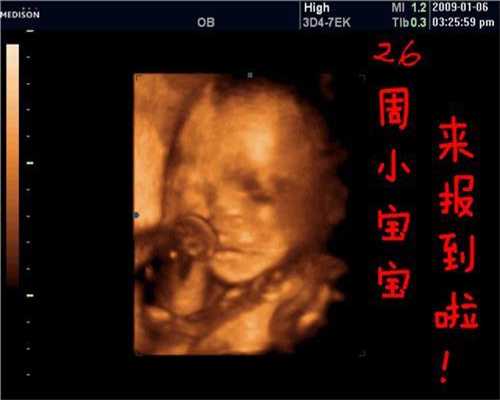 广州代生宝宝免费咨询-孕妇能不能吃干果