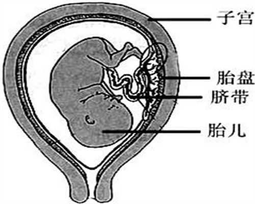广州国内正规的助孕公司-孕晚期高血压要住院吗