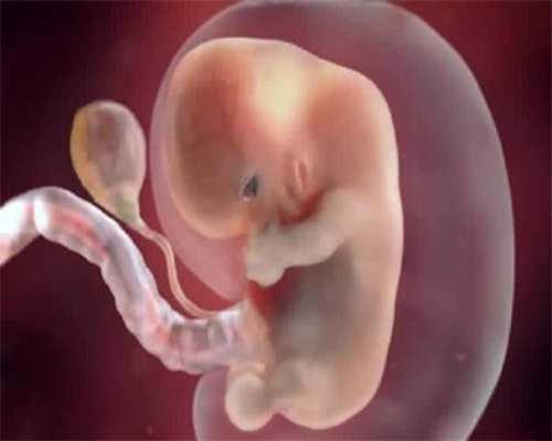广州代孕双胞胎多少钱-产检什么时候开始听胎心