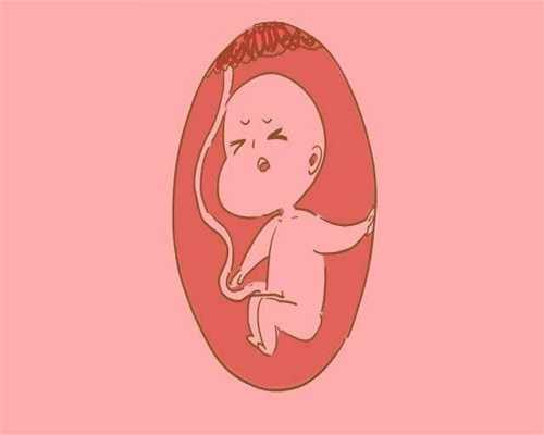 广州代生一个小孩多少钱-胎儿性别测试试纸准确