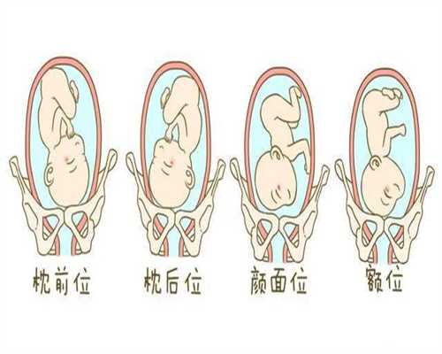 广州代孕军队医院-孕妇中性粒细胞绝对值偏高是