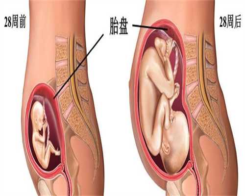 广州有供卵并代孕的医院-孕三十八周胎儿还长吗