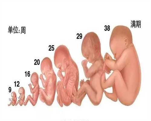 广州代孕双胞胎多少钱-生二胎的坏处和影响有哪
