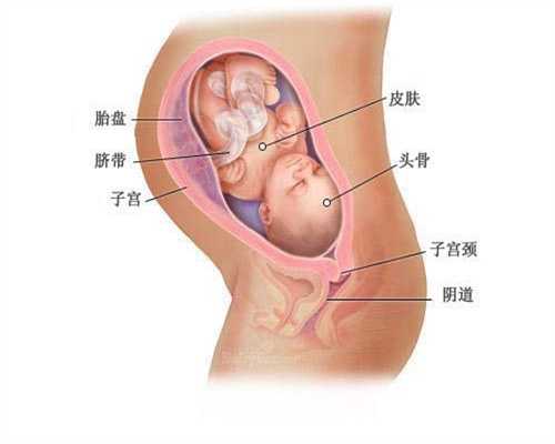 代孕在广州麻省合法吗-孕妇裤的扣子怎么扣住