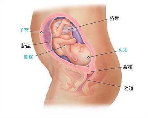 广州世纪孕婴国际专业代怀孕-刚有胎动是什么感