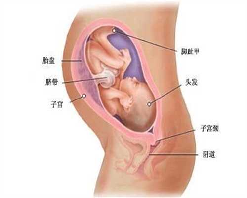 广州代怀孕代妈-孕妇可以吃生洋葱吗