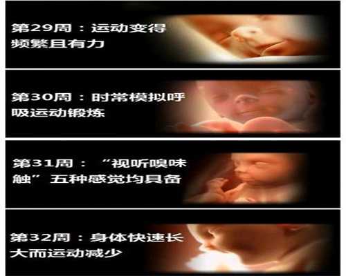 <b>广州添一代怀孕公司-怀孕9个月能吃螃蟹么</b>