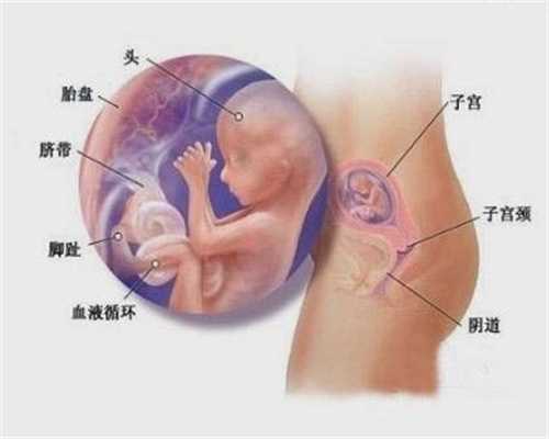 广州代怀孕保密咨询-怀孕初期适合睡什么床