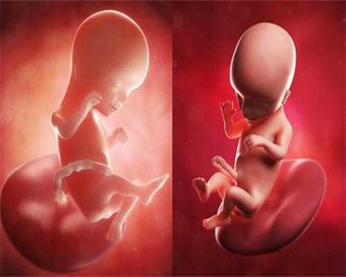 广州代怀孕产子中介-怀孕孕酮低是因为什么