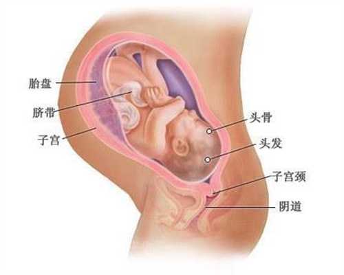 广州代怀孕产子中介-怀孕孕酮低是因为什么