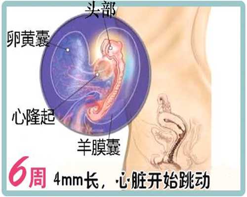广州找捐卵代怀孕联系电话：宝妈能吃菠萝吗