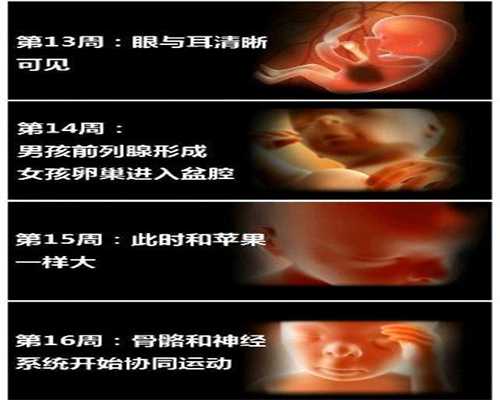 广州代生孩子多少钱：孕期可以喝灵芝汤吗