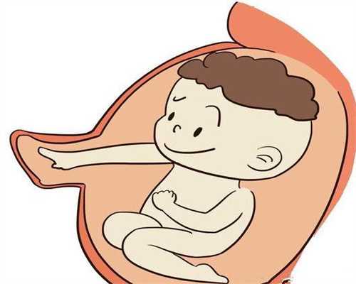 广州助孕咨询：孕妇吃饱肚子会尖尖的吗