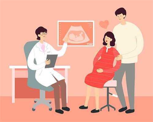 上海和广州助孕机构差距：三十一周胎儿发育标