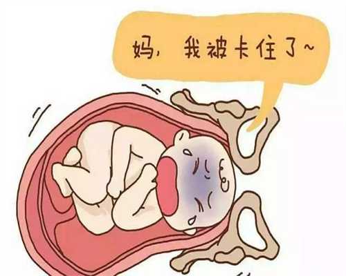 上海和广州助孕机构差距：三十一周胎儿发育标