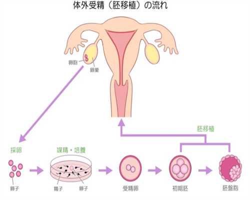 广州借卵生子：孕妇8个月嗜睡正常吗